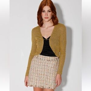 Walter Baker Laurette Skirt Melrose Tweed Size 8 NWT